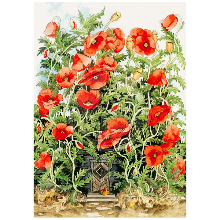 Inge Löök Postcard Door under Poppies 10.5 x 14.8 cm