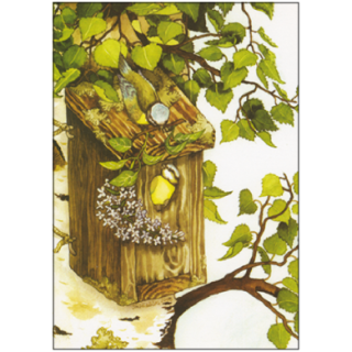Inge Löök Postkarte Meisen an Vogelhaus 10,5 x 14,8 cm