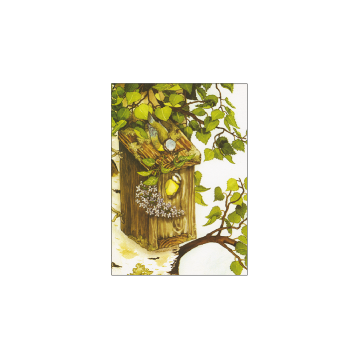 Inge Löök Postkarte Meisen an Vogelhaus 10,5 x 14,8 cm