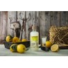 Koskenkorva, Finnish Lemon Shot 21% 0,5l - COMES SOON