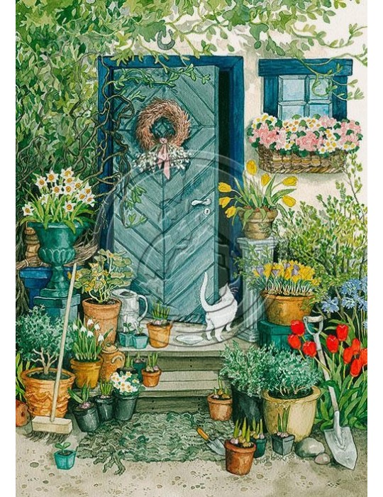 Inge Löök, Postcard, White Cat and Flowerpots in front of the Door